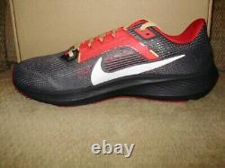 NFL San Francisco 49ers NIKE AIR ZOOM PEGASUS 40 Gray DZ5990-001 Men Shoes 10.5M