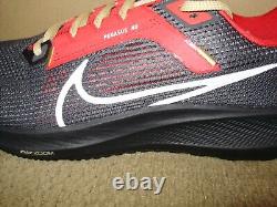 NFL San Francisco 49ers NIKE AIR ZOOM PEGASUS 40 Gray DZ5990-001 Men's Shoes 11M