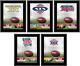 San Francisco 49ers 10.5 x 13 Sublimated Super Bowl Champion Plaque Bundle