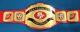San Francisco 49ers Fanaholic Championship Belt Adult Size brass plates leather