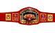 San Francisco 49ers SF Superbowl Championship Belt Adult Size Brass Plated 4mm