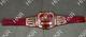 San Francisco SF 49ers Super Bowl Championship Belt Adult Size Leather Title