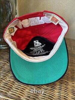 VTG San Francisco 49ers BLOCKHEAD Hat RARE FIBER OPTICS LIGHTS American Needle