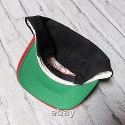 Vintage 90s San Francisco 49ers Snapback Hat by Sports Specialties Cap SF