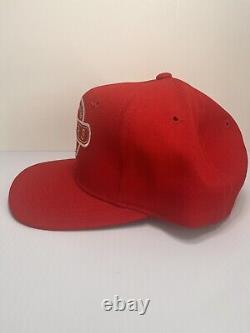 Vintage 90s San Francisco 49ers Sports Specialties SnapBack Hat NFL Deadstock