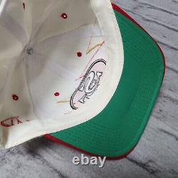 Vintage San Francisco 49ers Double Sharktooth Wool Snapback Hat Cap Rare
