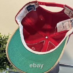 Vintage San Francisco 49ers Sports Specialties Script Pinstripe Snapback Hat 90s