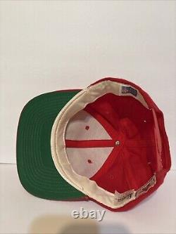 Vintage Sports Specialties San Francisco 49ers Script SnapBack Hat 100% Wool