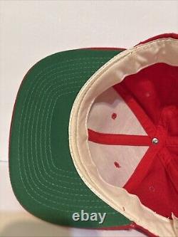 Vintage Sports Specialties San Francisco 49ers Script SnapBack Hat 100% Wool